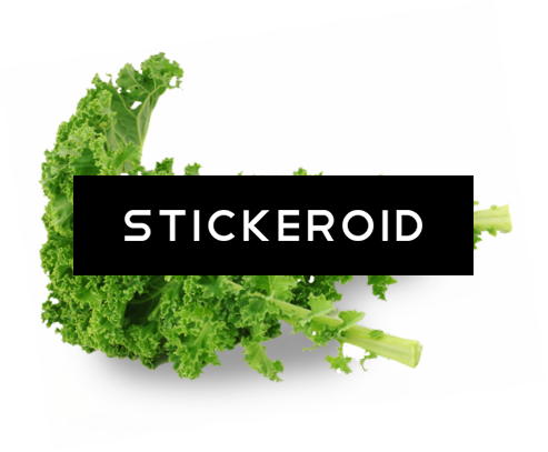 Download Kale Food Plant Transparent Photo Of Kale Png Image With No Background Pngkey Com