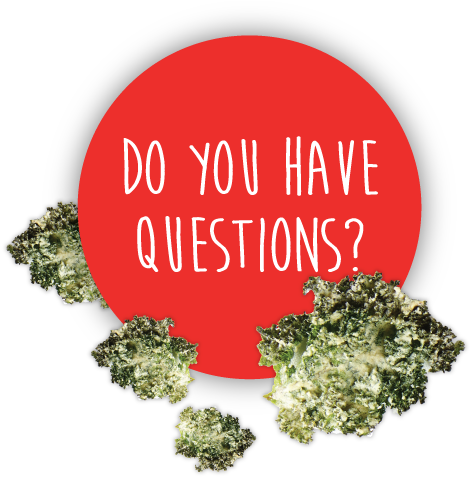 Email Them To Us - Castel Del Monte (485x485), Png Download