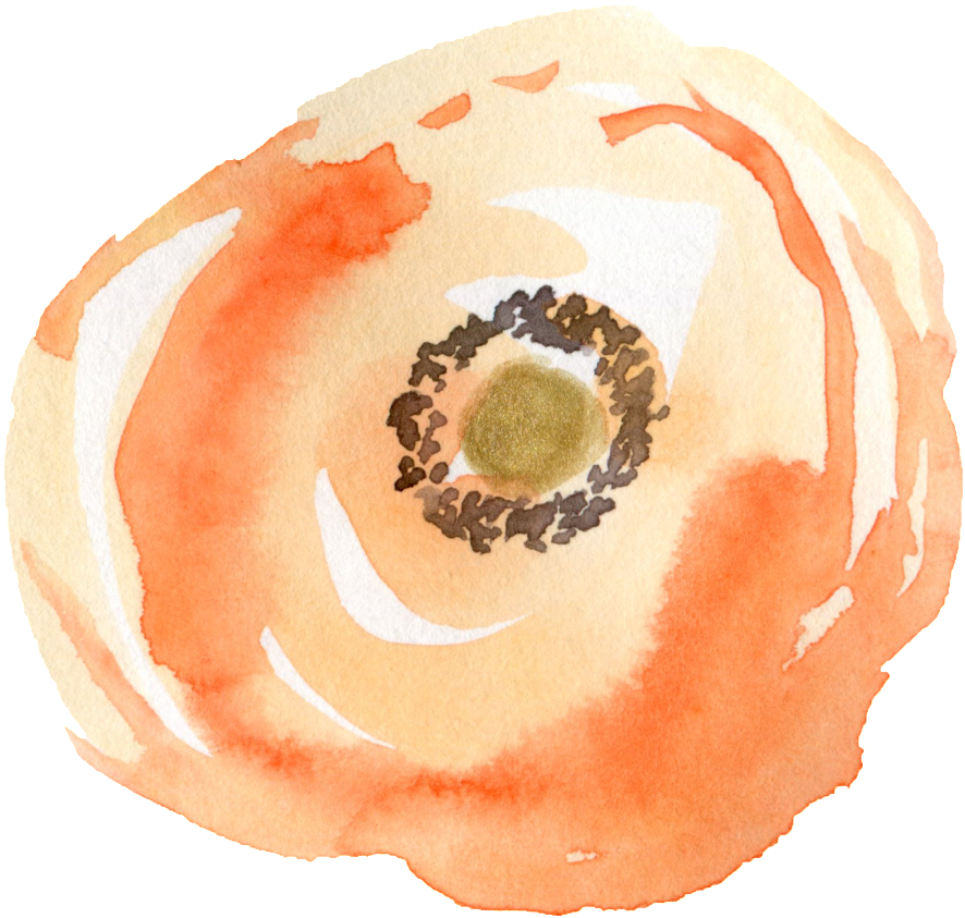 Vortex Flower Transparent Decorative - Portable Network Graphics (1024x1019), Png Download