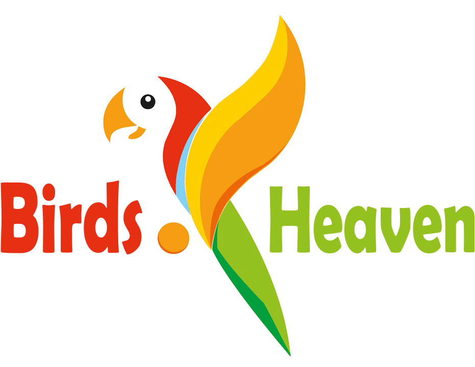 Birds Heaven Birds Heaven - Ara Colombia (1008x736), Png Download