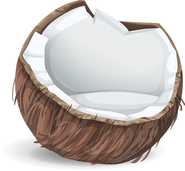 Download Coco Seco Em Png Lait De Coco Dessin Png Image With No Background Pngkey Com