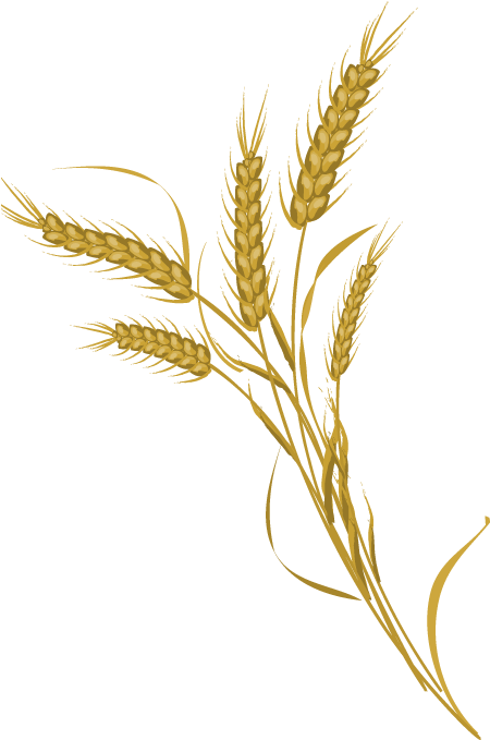 Grain Clipart Wheat Farming - Farmer Wheat Png (467x678), Png Download
