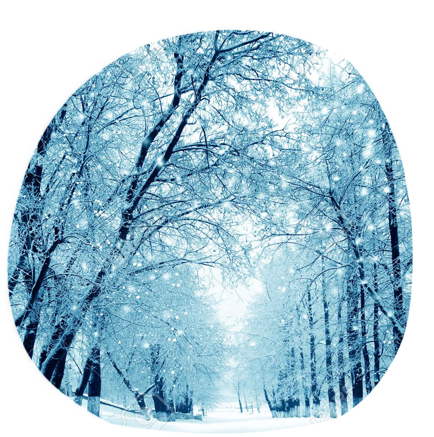 Snowdrop Clan Aesthetic - Sjoloon 10x10ft Snow Vinyl Cp Photography Backdrop (1300x924), Png Download