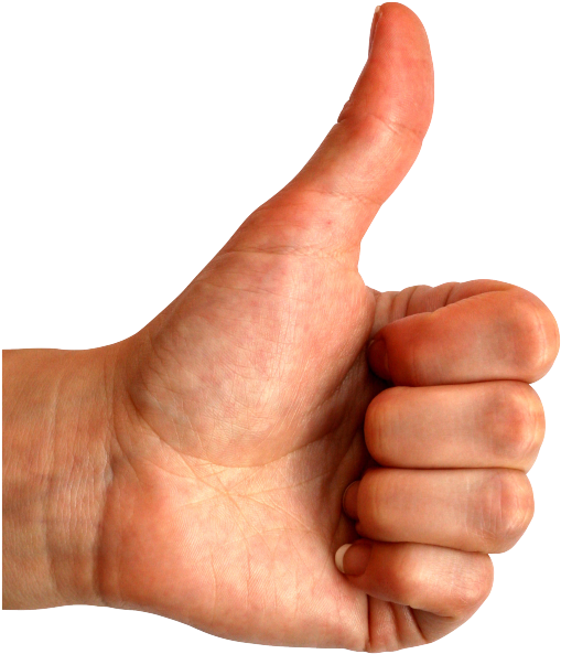 Like Png - Handdigit (525x600), Png Download