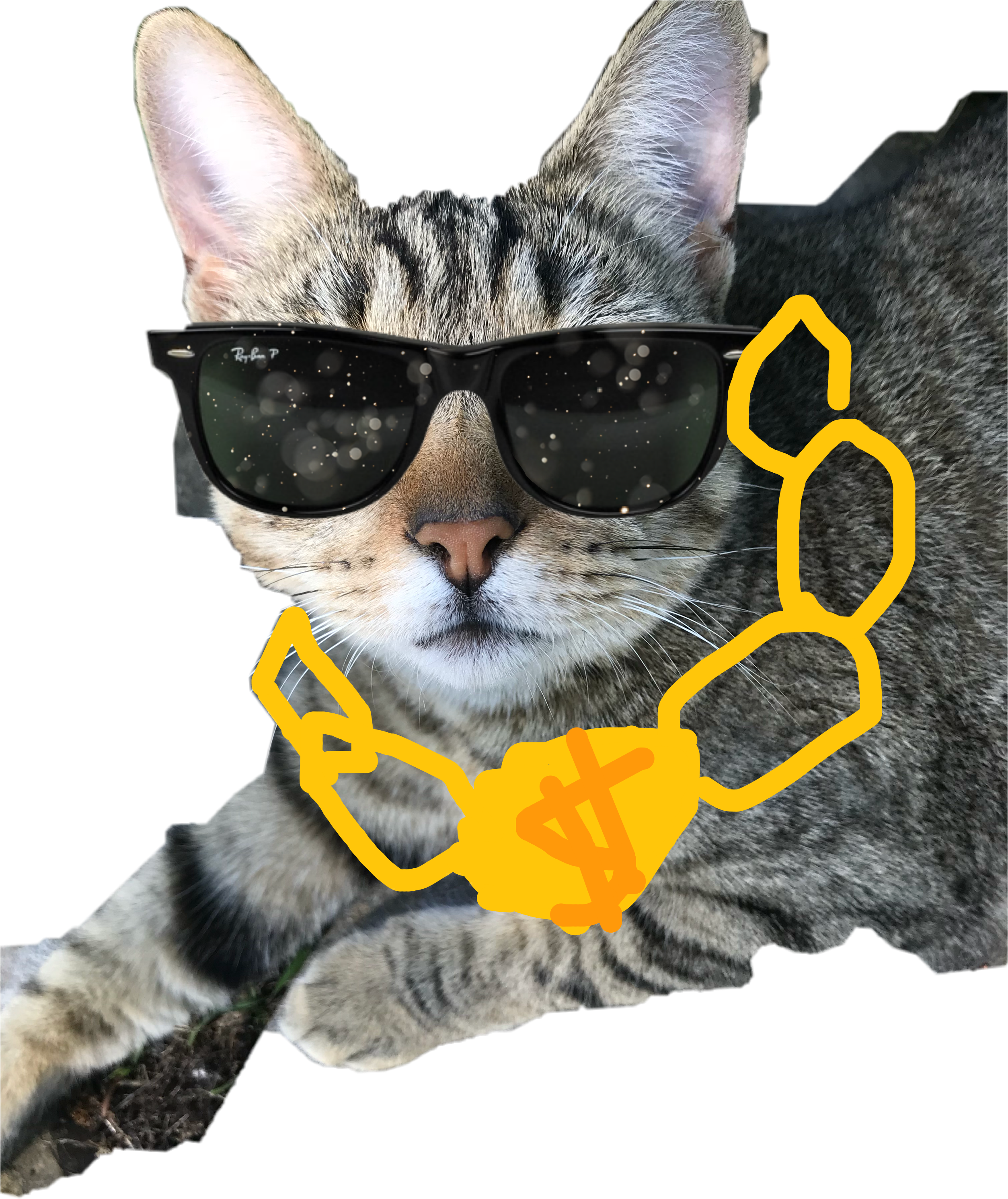 Cat (1024x1217), Png Download