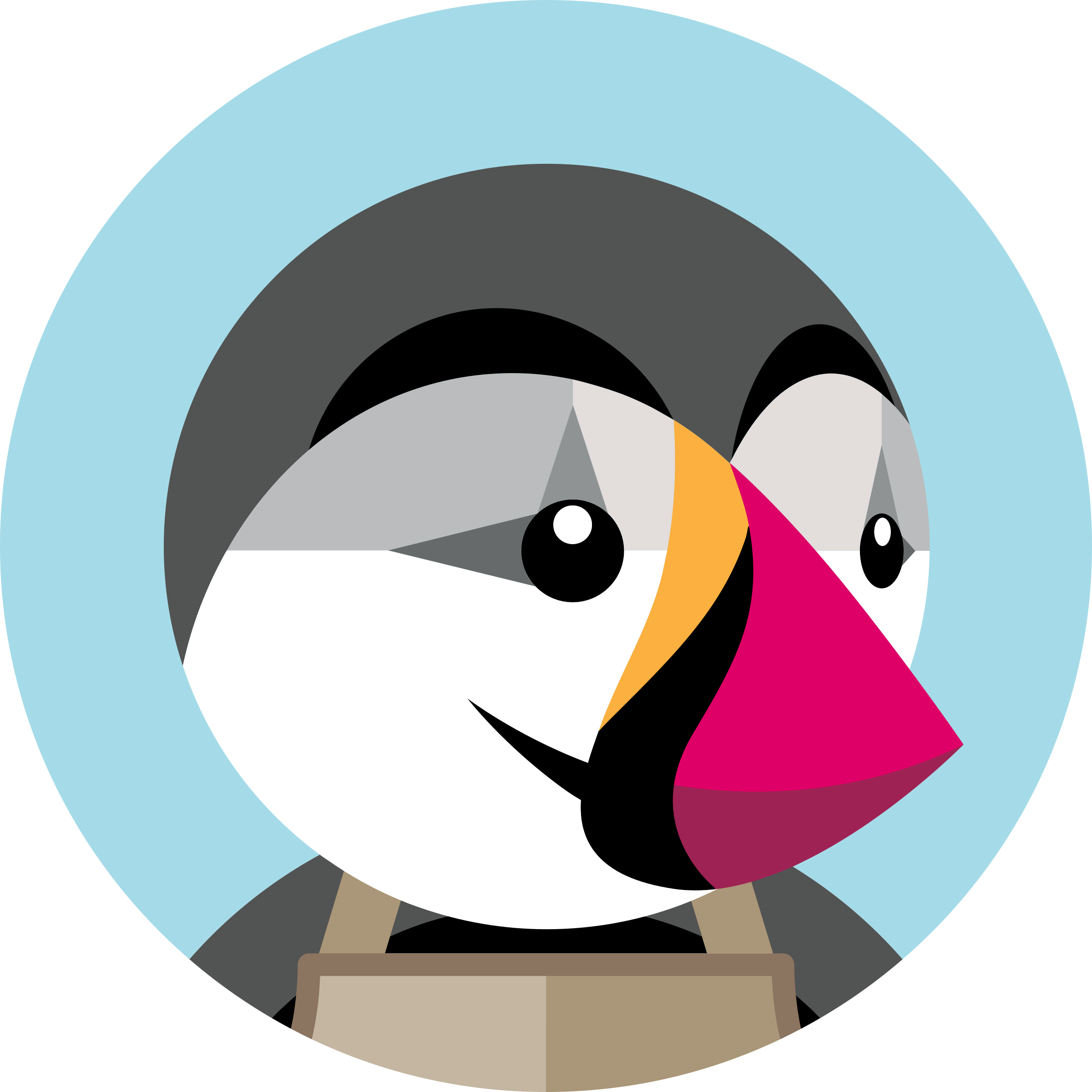 Prestashop Logo Png Transparent - Prestashop Logo (2400x2400), Png Download