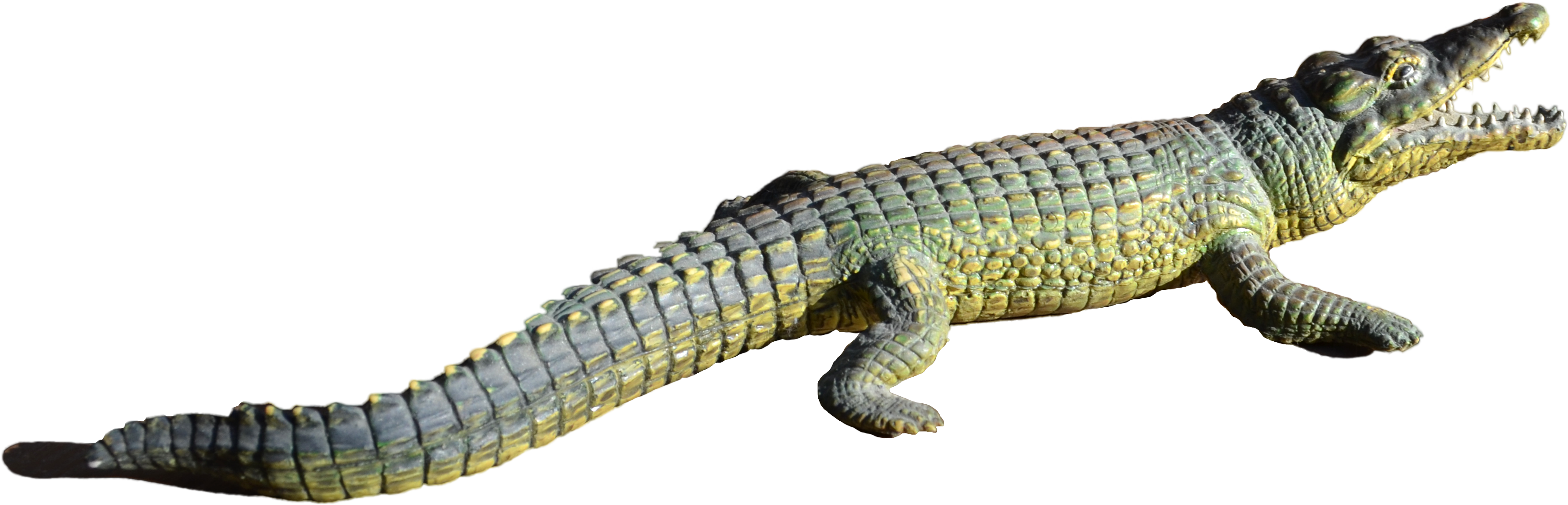 Alligator Png File - Repteis Com Fundo Transparente (4928x3264), Png Download