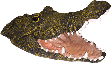 Alligator Natural Enemy® Scarecrow - American Crocodile (450x450), Png Download