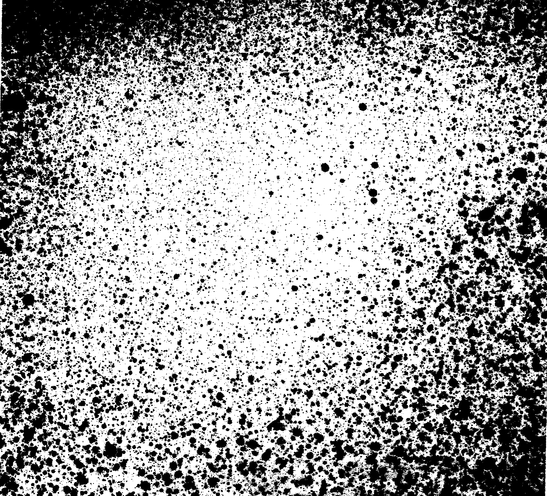 Free Grunge Polaroid Frame Png - Monochrome (1800x1635), Png Download