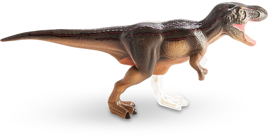 4d Vision T-rex Anatomy Model - T Rex Anatomy (900x456), Png Download