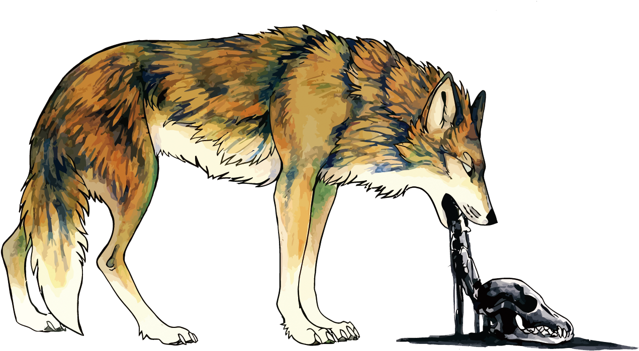 Coyote Dog Vomiting Illustration - Ilustracion Coyote Vector (1500x879), Png Download