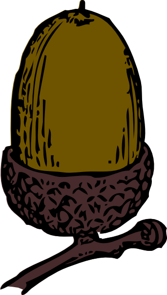 Acorn Clip Art (342x602), Png Download