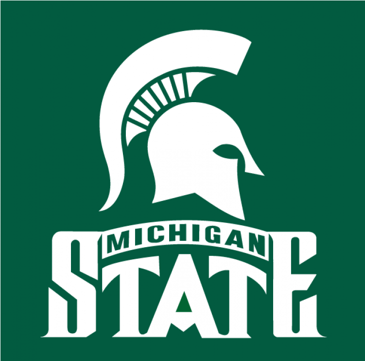 Michigan State Spartans Iron Ons - Michigan Spartans (750x930), Png Download
