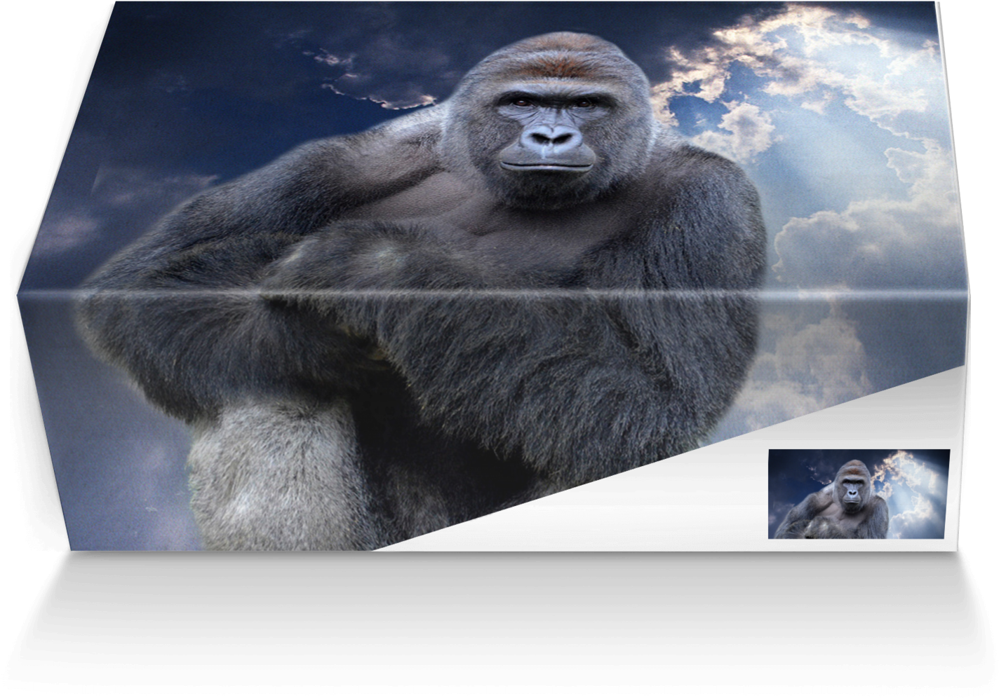 Harambe Transparent Png Jpg Royalty Free Library - Shoe (1500x1500), Png Download