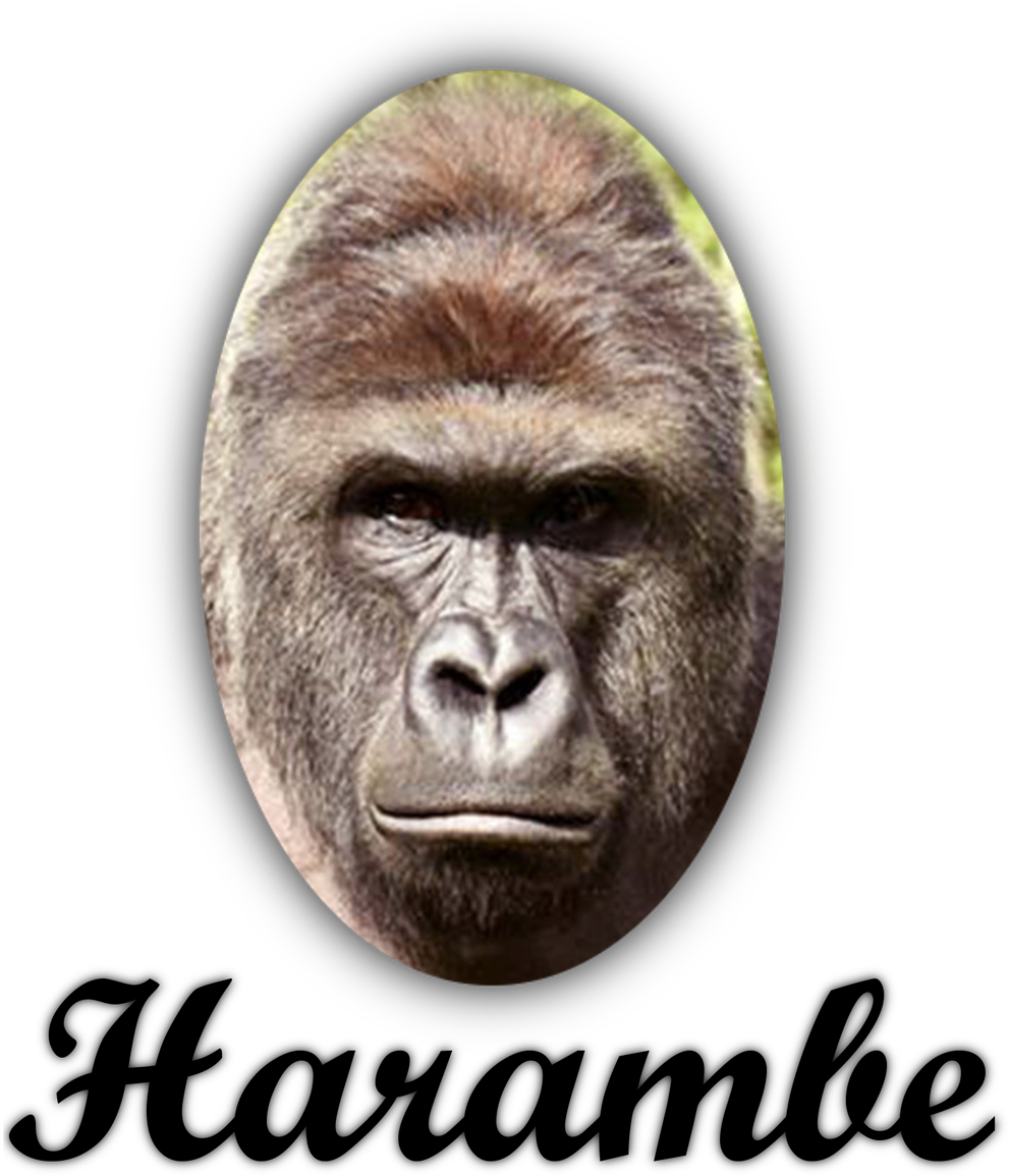 Harambism On Twitter - Harambe Poster Tribute Tote Bag (1060x1200), Png Download