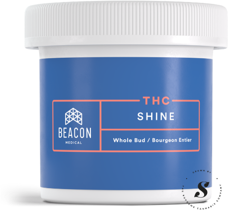 Plastic (465x440), Png Download