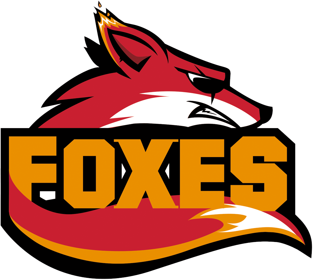 Foxes Overwatch - Team Foxes (1002x898), Png Download
