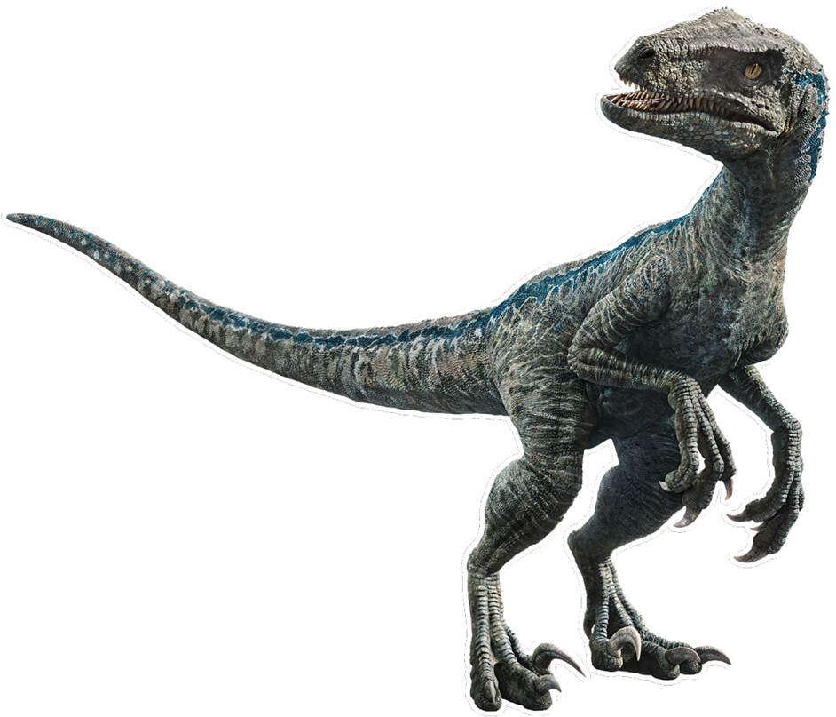Blue The Velociraptor V5 By Sonichedgehog2 - Dinosaurio Blue Jurassic World (968x826), Png Download