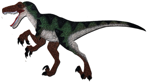 Mini Raptor Designed As An Intro Product For Both Archery - Oncore Targets Raptor Self-healing Archery Target (498x498), Png Download