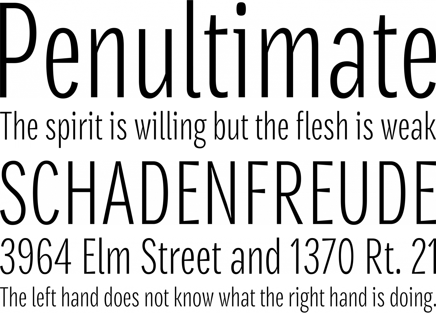 Densia Sans Font Phrases - Simplistic Font (1440x1036), Png Download