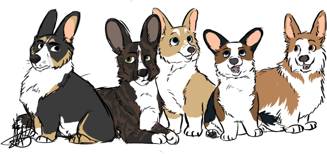 Drawn Corgi Transparent - Pembroke Welsh Corgi (1280x634), Png Download