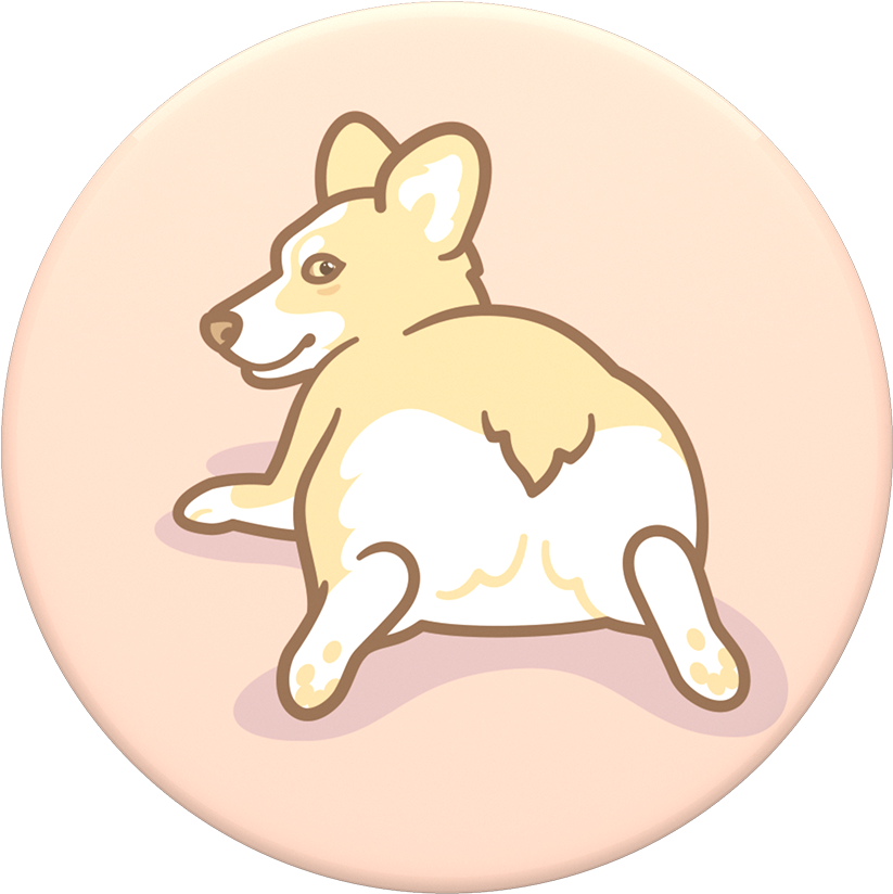 Corgi Watcha Workin With - Antoni Porowski (1000x1000), Png Download