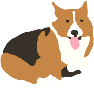 Corgi Place- Home - Pembroke Welsh Corgi (400x385), Png Download