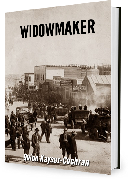 Widowmaker By Quinn Kayser-cochran, Temporary Book - Nevada (419x585), Png Download