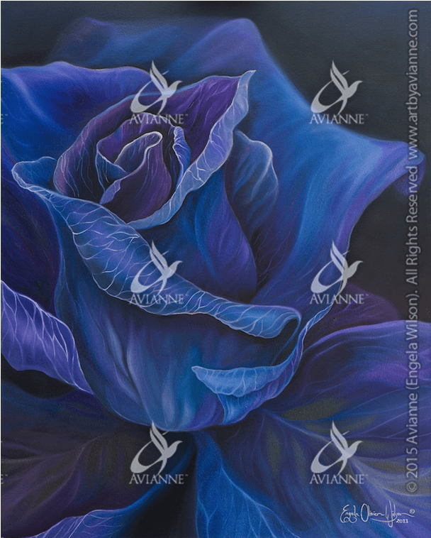 Purple Rose Giclée - Blue Rose (800x800), Png Download