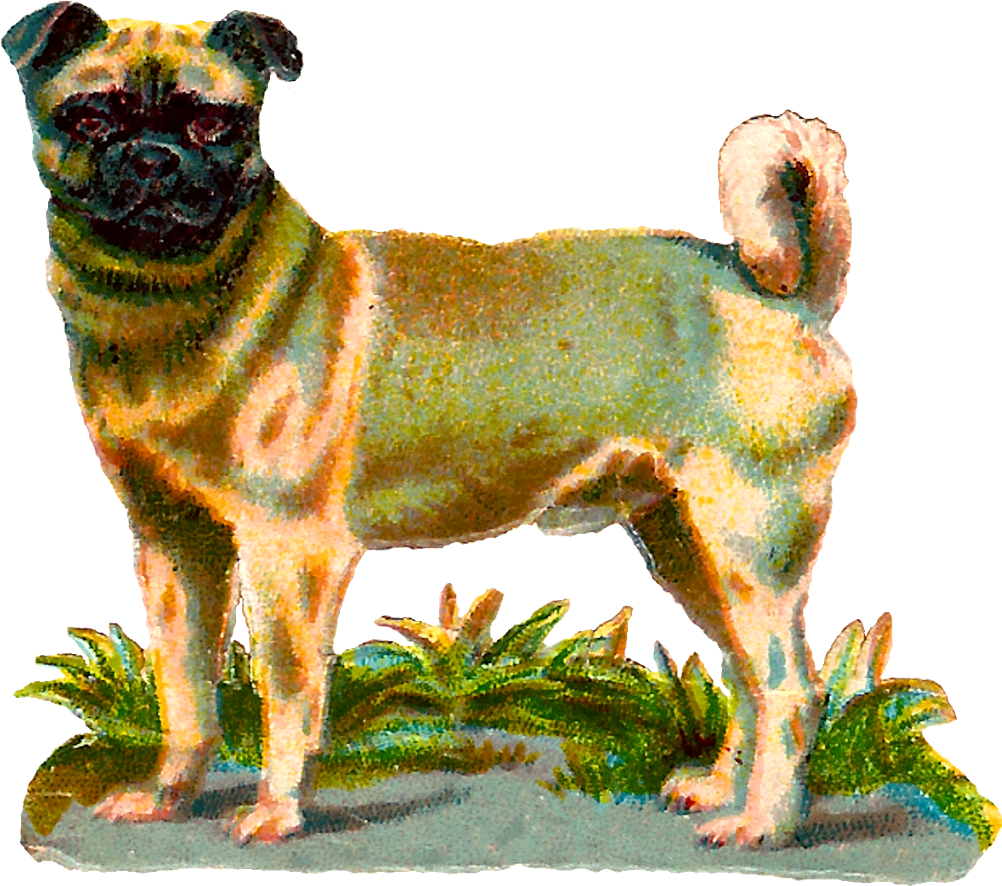 Digital Vintage Pug Dog Clip Art Download Png (1600x1485), Png Download