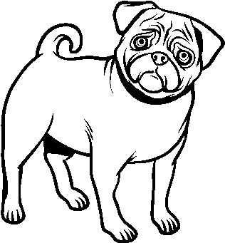 De C O Para Colorir Com Co - Perros Pug Para Dibujar (600x470), Png Download