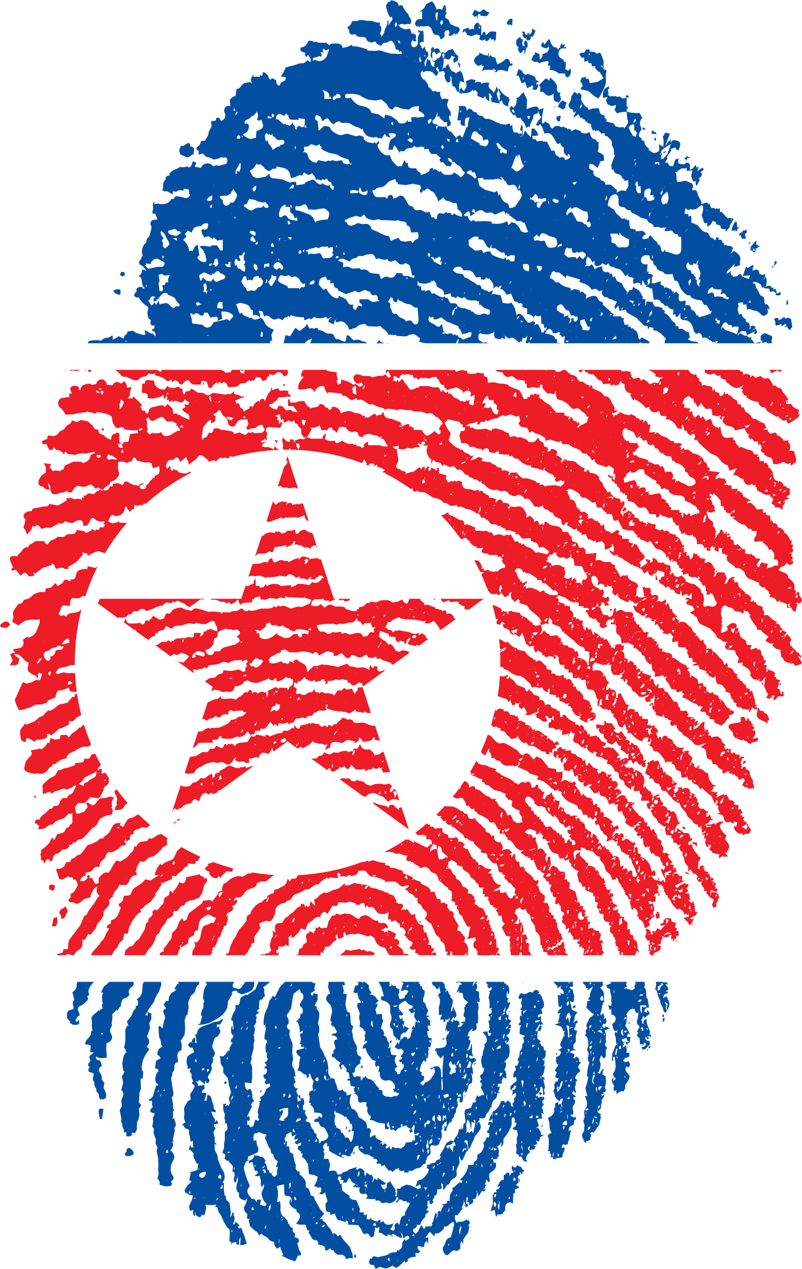 North Korea Flag Fingerprint 653085 - North Korea Flag Png (1573x2488), Png Download
