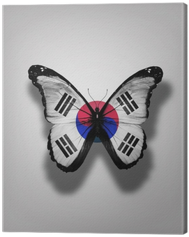 South Korea Flag Butterfly, Isolated On Flag Background - South Korea Flag (400x400), Png Download