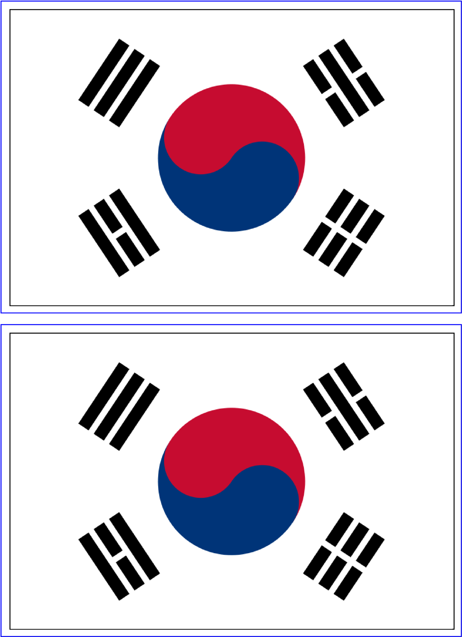 South Korea Flag - South Korea Flag Circle (1736x2455), Png Download