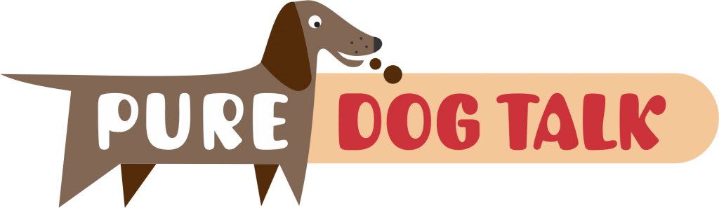 Basset Hound (1024x297), Png Download