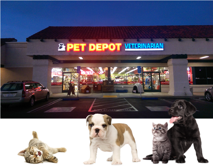 Katie's Pet Depot, Located At 1941 Foothill Blvd - Beaphar Uk Beaphar Cat Play Spray 150ml (pack Of 3) (699x557), Png Download