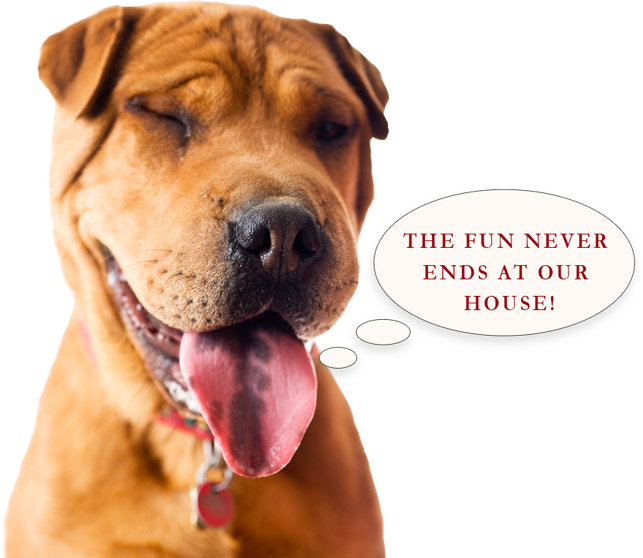 The Fun Never Ends At Our House - Two Paws Up Dog Training, Inc. (643x558), Png Download