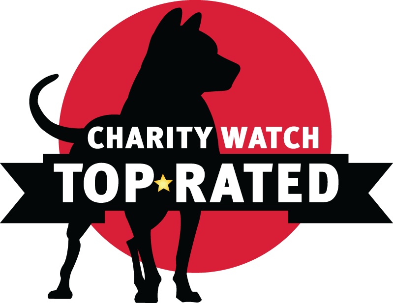 Charity Watch A Rating (799x617), Png Download