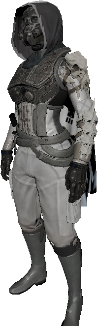 Hunter Config 001 - Destiny Hunter Png (540x720), Png Download