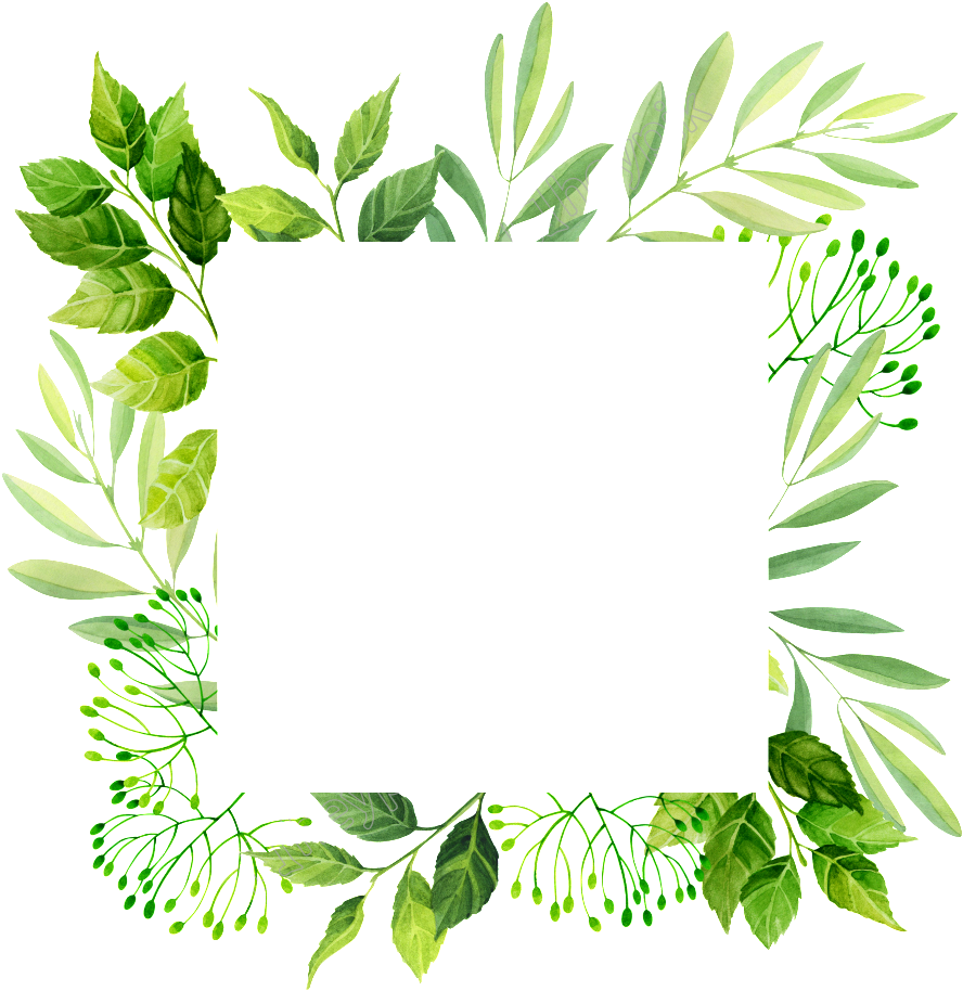 Vector Freeuse A Png Transparent Made Of Hand Painted - Fall Leaf Square Png (1024x1024), Png Download