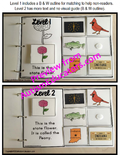 Flower (500x500), Png Download