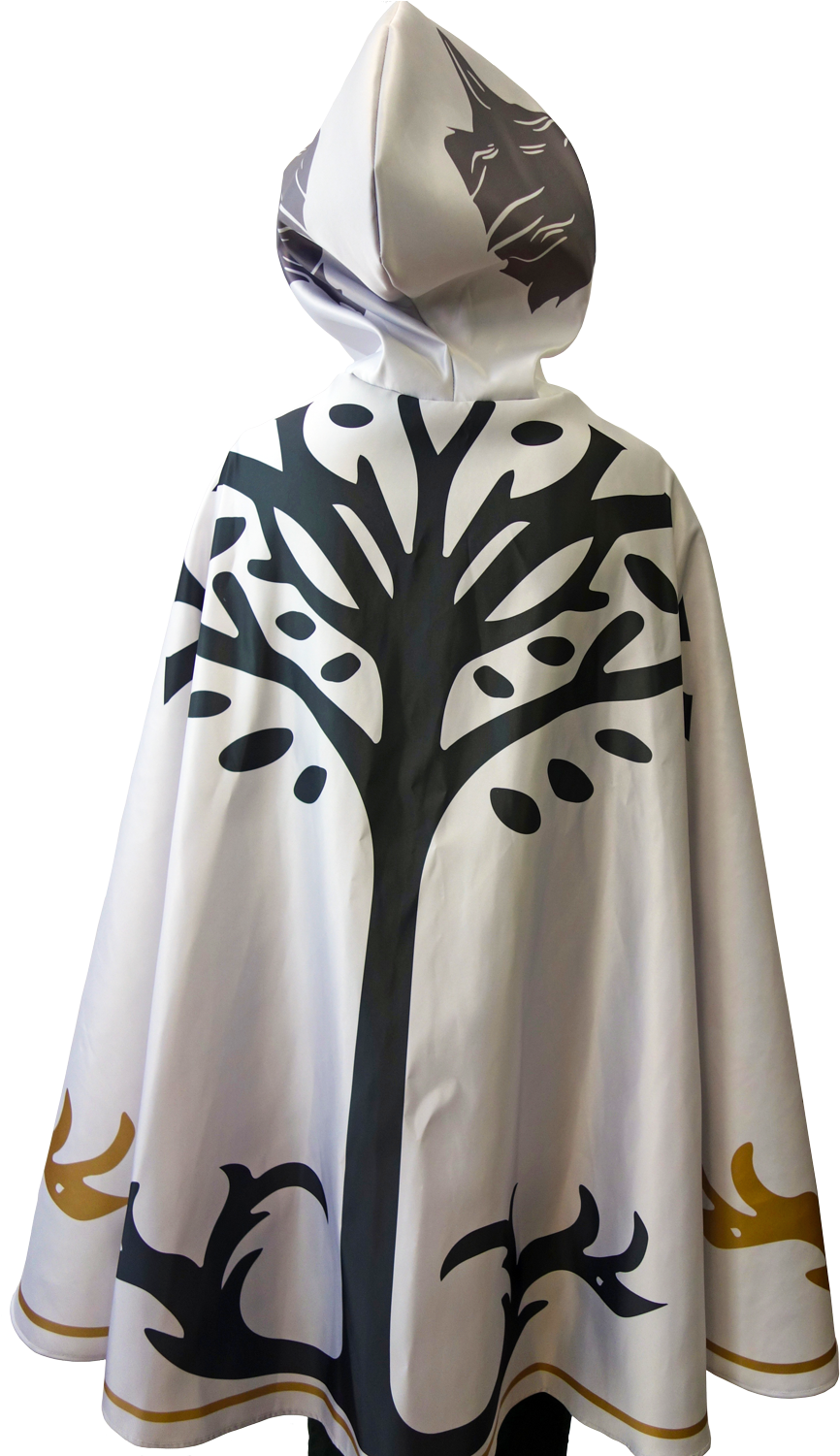 Download Iron Banner Hunter Cape / Hunter Cloak Destiny Hunter Cape