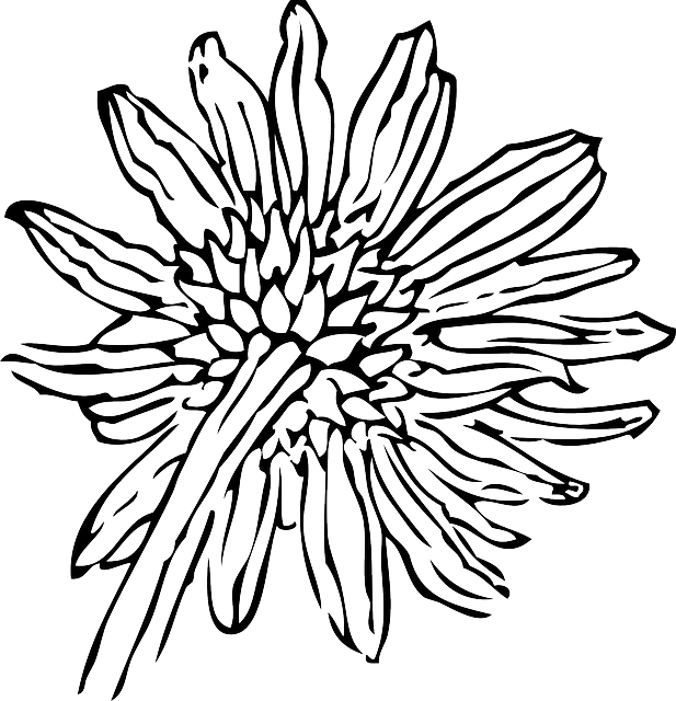 Drawing At Getdrawings Com Free For Personal - Sunflower Clip Art (617x640), Png Download