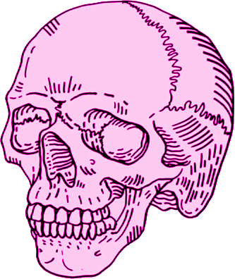 Skull, Pink, And Transparent Image - Skull Png (333x396), Png Download