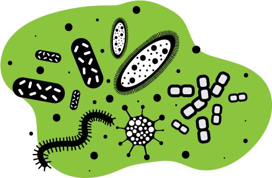 Bacteria - Liquid (600x450), Png Download