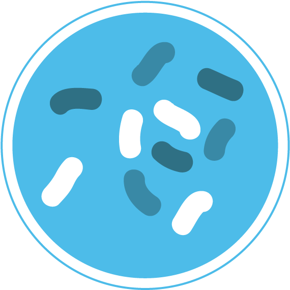 Bacteria Png - Bacteria (588x577), Png Download