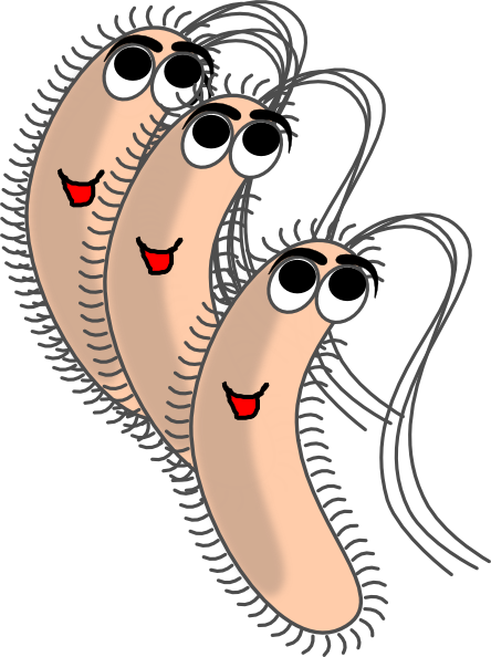 Small - Funny Bacteria Clipart (444x594), Png Download