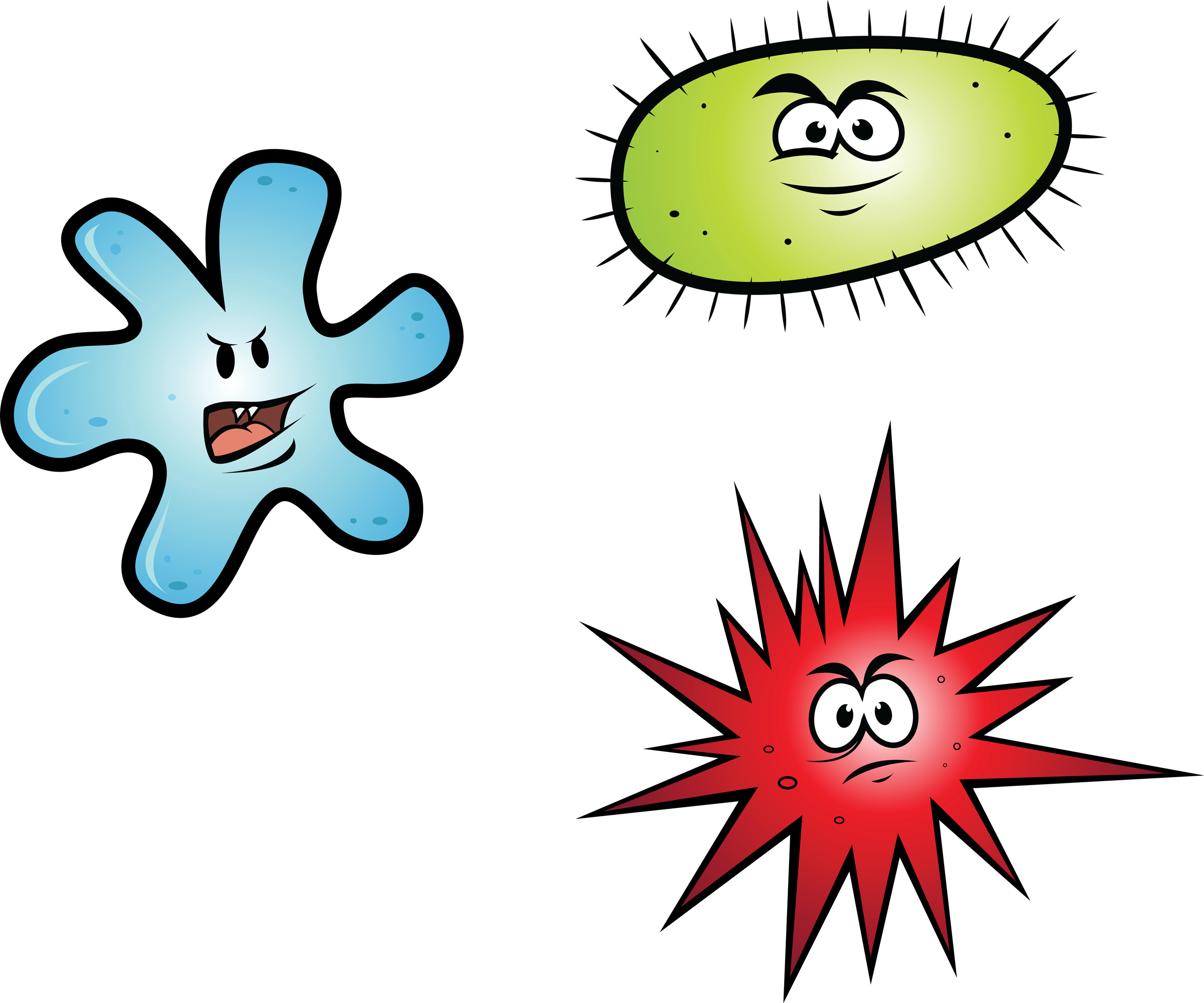 Our Crusade - Fullbucket - She - Bacteria Cartoon Png (2400x1999), Png Download