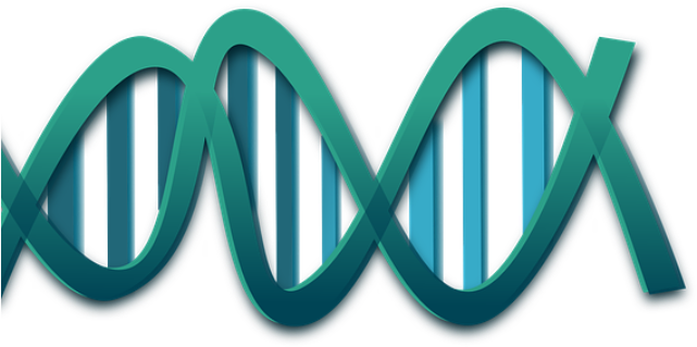 Promising Target In Fight Against Bacteria - Biochemistry Principles (speedy Study Guides) (640x360), Png Download