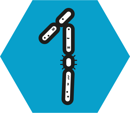 Friend Or Foe - Illustration (509x442), Png Download